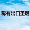 稀有出口圣诞传说评价（稀有出口圣诞传说）