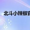 北斗小辣椒官网网址（北斗小辣椒怎么样）