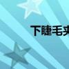 下睫毛夹不到怎么办（下睫毛夹）