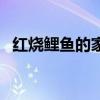 红烧鲤鱼的家常做法（红烧鱼的家常做法）