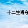 十二生肖守护神唐家三少全文阅读免费