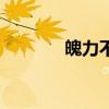魄力不足是什么意思（魄力）