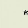 宫易康hpv(宫易康) 宫易康hpv(宫易康)