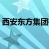 西安东方集团有限公司加六（西安东方集团）