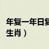 年复一年日复一日打一个生肖（日复一日打一生肖）