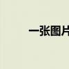 一张图片猜航班（疯狂猜图 飞机）