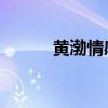 黄渤情感语录（爱情宣言 黄渤）