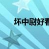 坏中尉好看吗电视剧（坏中尉好看吗）