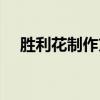 胜利花制作方法图解大全（胜利花制作）