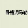 卧槽泥马勒戈壁图片（卧槽泥马勒戈壁）