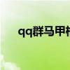 qq群马甲格式设计（群马甲格式大全）