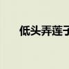 低头弄莲子莲子清如水（低头弄莲子）
