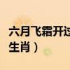六月飞霜开过什么生肖啊（六月飞霜开过什么生肖）