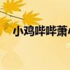 小鸡哔哔萧小m现场（小鸡哔哔 萧小m）