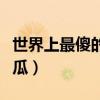 世界上最傻的傻瓜是谁(世界上最傻的那个傻瓜) 世界上最傻的傻瓜是谁(世界上最傻的那个傻瓜)
