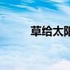 草给太阳打电话（草给日打电话）
