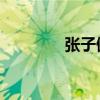 张子健 微博（张子健微博）