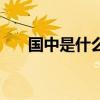 国中是什么的学校叫法（国中是什么）