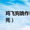 鸡飞狗跳作者生生死死（鸡飞狗跳by生生死死）