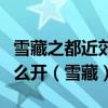 雪藏之都近郊冰元素方碑下面的坑里的铁门怎么开（雪藏）
