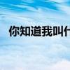 你知道我叫什么吗情话（你知道我叫什么）