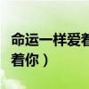 命运一样爱着你国语版在线观看（命运一样爱着你）