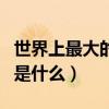 世界上最大的岛和最小的岛（世界上最小的岛是什么）