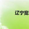 辽宁宽甸凶杀案（宽甸杀人案）
