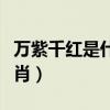 万紫千红是什么生肖最好（万紫千红是什么生肖）