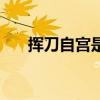 挥刀自宫是谁（挥刀自宫是什么意思）