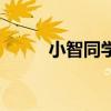 小智同学童装批发（小智零食店）