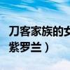 刀客家族的女人紫罗兰视频（刀客家族的女人紫罗兰）