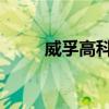威孚高科B股代码（威孚高科b股）