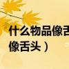 什么物品像舌头的质感（家里的什么东西质感像舌头）