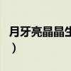 月牙亮晶晶生产队里开大会（生产队里开大会）