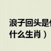 浪子回头是什么生肖 百度网盘（浪子回头是什么生肖）