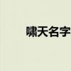 啸天名字的含义是什么（啸天mik）