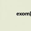 exom队长威严（exo m队长）