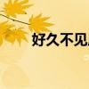 好久不见原唱视频（好久不见原唱）