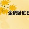 企鹅卧底日记免费版（企鹅卧底日记）