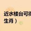 近水楼台可得月指什么生肖（近水楼台指什么生肖）