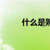 什么是熟语性句子（什么是熟语）