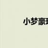 小梦豪现状2018视频（小梦豪）