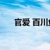 官爱 百川鱼海 小说（官爱 百川鱼海）