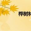 桦树林的桦拼音(桦树拼音) 桦树林的桦拼音(桦树拼音)