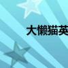 大懒猫英语pdf下载（大懒猫英语）