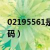 02195561是什么号码(02195511是什么号码) 02195561是什么号码(02195511是什么号码)