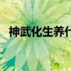 神武化生养什么孩子（神武化生孩子加点）