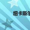 纽卡斯尔守门员（奥金顿守门人）