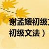 谢孟媛初级文法60集免费百度网盘（谢孟媛初级文法）